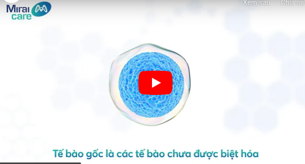 Dịch vụ tế bào gốc được tư vấn bởi Mirai Care